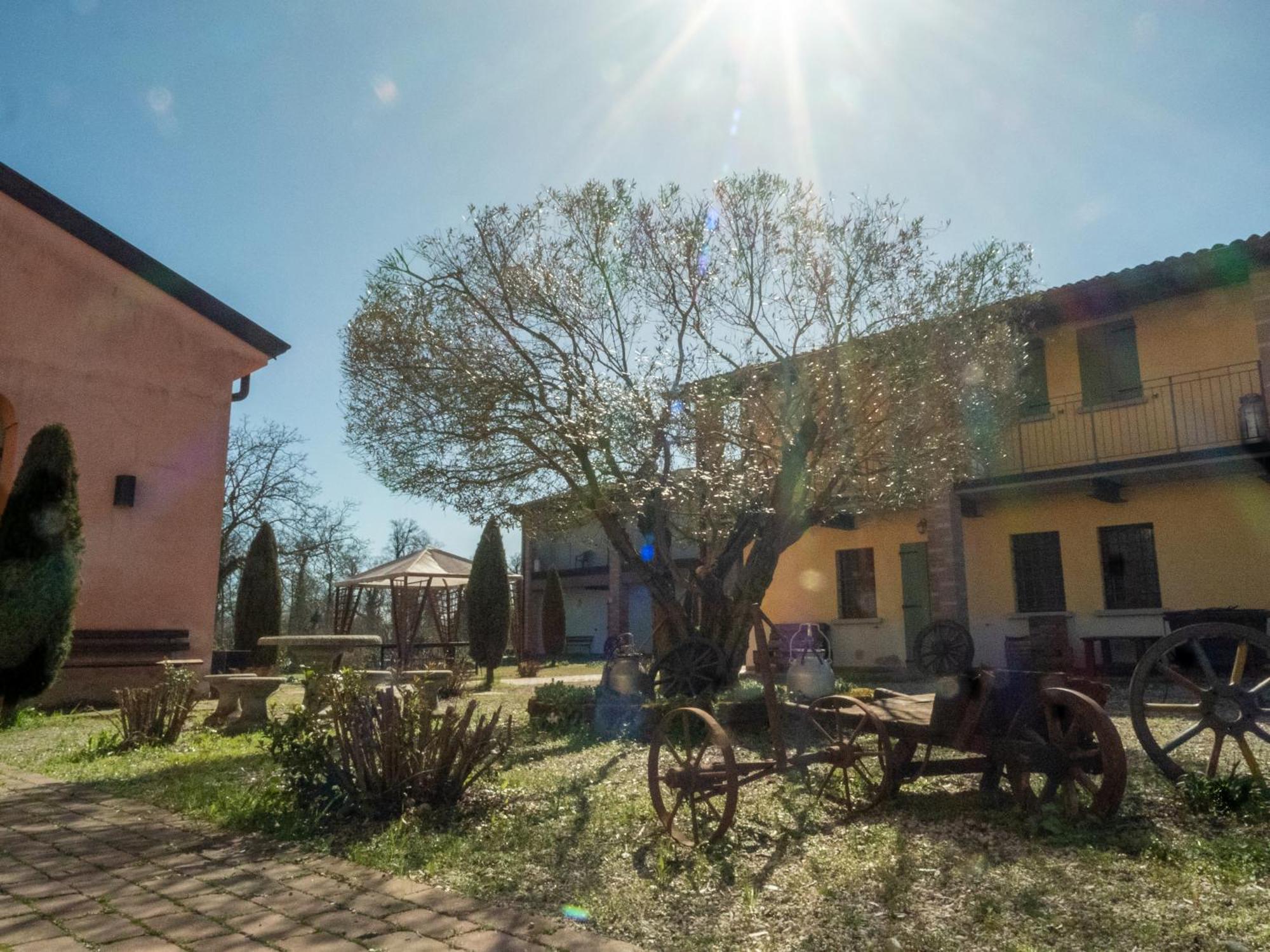 Agriturismo Borgo Del Mincio Вольта-Мантована Экстерьер фото